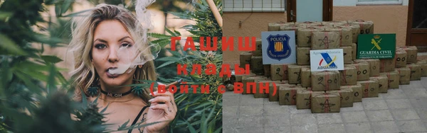 индика Протвино