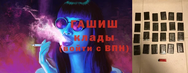 индика Алексин