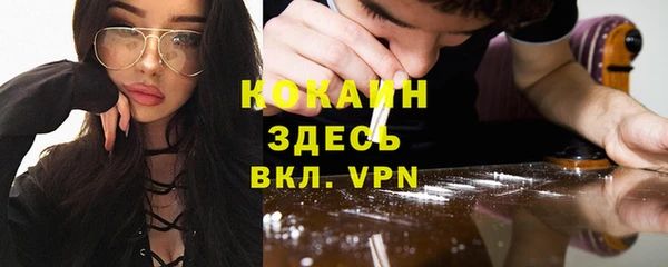 индика Алексин