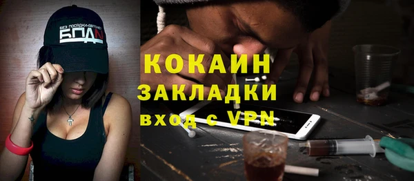 индика Алексин