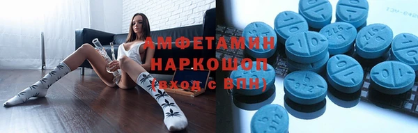 индика Алексин