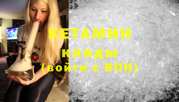индика Алексин