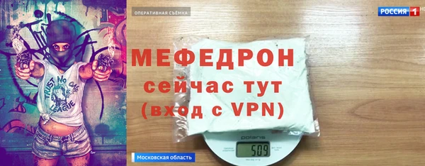 индика Алексин