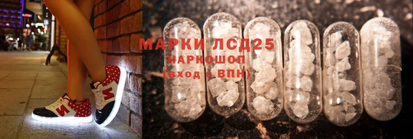 индика Алексин