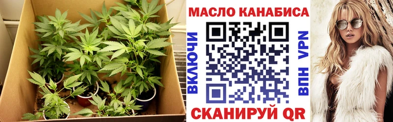 ТГК THC oil  магазин    Новоалександровск 