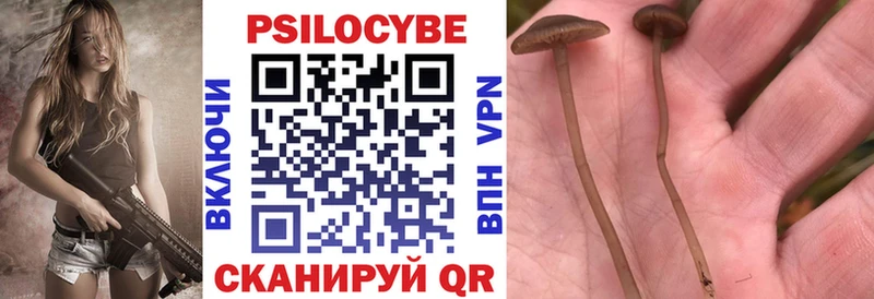 Псилоцибиновые грибы Psilocybine cubensis  что такое наркотик  Новоалександровск 