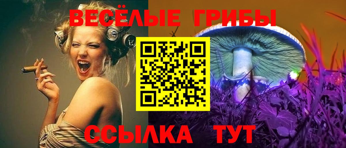 Псилоцибиновые грибы мицелий  Вход с VPN  Новоалександровск 