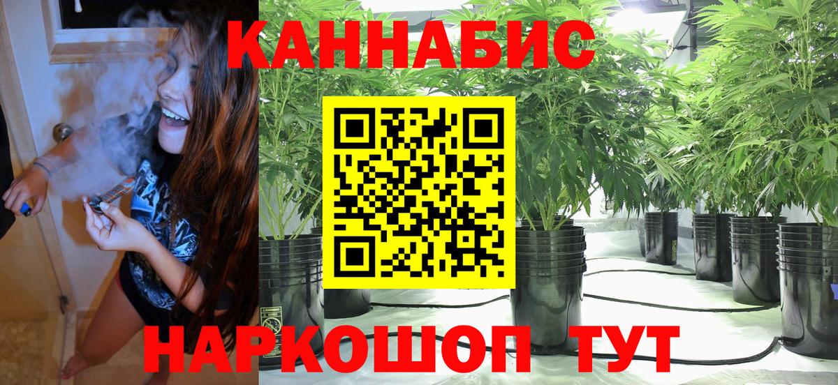 Каннабис White Widow  Вход с VPN  Новоалександровск  Бошки Шишки тримм  Марихуана сатива 